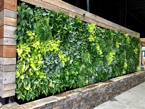 living plant walls